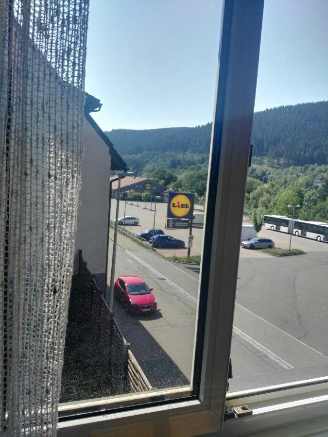 Rosen Garten Haus Titisee-Neustadt Extérieur photo